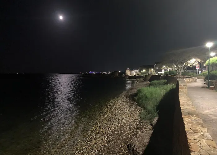 Mylarakia